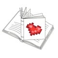 The book appears untextured with visible lines suggesting page divisions Royalty Free Stock Photo