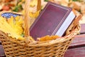 Book in a basket