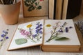 Book with beautiful dried flowers on wooden table