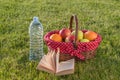 Book, bottle of water and basket of ripe fruits