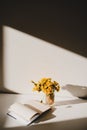 A book and a bunch of yellow dandelions.  Still life with wild flowers.  Play of light and shadow. Summer flowers Royalty Free Stock Photo