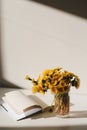 A book and a bunch of yellow dandelions.  Still life with wild flowers.  Play of light and shadow. Summer flowers Royalty Free Stock Photo