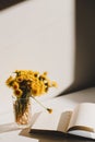 A book and a bunch of yellow dandelions.  Still life with wild flowers.  Play of light and shadow. Summer flowers Royalty Free Stock Photo