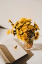 A book and a bunch of yellow dandelions.  Still life with wild flowers.  Play of light and shadow. Summer flowers Royalty Free Stock Photo