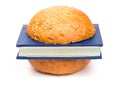 Book-burger Royalty Free Stock Photo