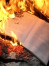 Book burning Royalty Free Stock Photo