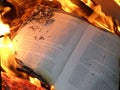 Book burning Royalty Free Stock Photo