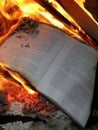 Book burning Royalty Free Stock Photo
