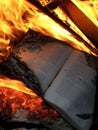 Book burning Royalty Free Stock Photo