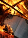 Book burning Royalty Free Stock Photo