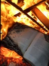 Book burning Royalty Free Stock Photo