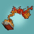 The book burns. destruction of knowledge and culture Royalty Free Stock Photo