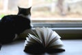 Book and Cat Royalty Free Stock Photo