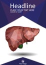 Book cover template with Realistic human liver with bile duct an Royalty Free Stock Photo