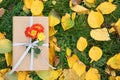 Book decorated with chrysanthemum flowers and yellow leaves on grass outdoors, top view. Space for text Royalty Free Stock Photo