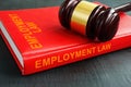 The book employment law and the gavel on it.