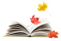 book and falling autumn leaves