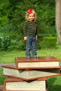 Book festival in the public park, toddler girl standing on a giant pile of books