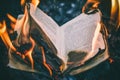 Book in the fire Royalty Free Stock Photo