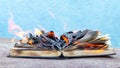 The book is on fire. Burning unnecessary, forbidden books