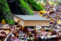 A book in the garden under a moss-covered tree among fallen leaves