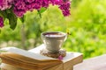 Book, glasses, cup of tea and lilac on a wooden window. The bee flies beautifully over the lilac petals Royalty Free Stock Photo