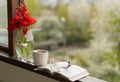 Book, glasses, cup of tea and red tulips on a wooden window. Read and rest. Royalty Free Stock Photo