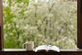 Book, glasses, cup of tea and red tulips on a wooden window. Read and rest. Royalty Free Stock Photo