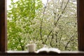 Book, glasses, cup of tea and red tulips on a wooden window. Read and rest. Royalty Free Stock Photo