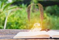 Book with glowing light bulb over it on wooden table Royalty Free Stock Photo