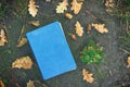 Book on the ground, covered in yellow maple and oak leaves. Back to school. Education concept. Beautiful autumn background.