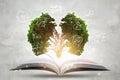 Book of growing knowledge with brains big tree. Royalty Free Stock Photo