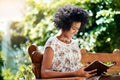 The book that has her hooked. a young woman reading a book on a bench outdoors. Royalty Free Stock Photo