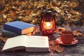 The book, lamp and a cup of hot coffee on the old wooden table in a forest.