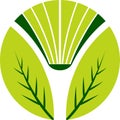 Book leaf logo