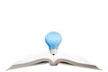 Book with light bulb Royalty Free Stock Photo