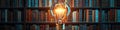 book light bulb. Selective focus Royalty Free Stock Photo