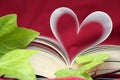 The Book of Love close up