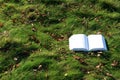 Book lying open on grass