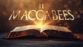 Book of 2 Maccabees.