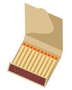 Book Of Matches. Top View Closed Opened Blank. Blank Matchbooks. Realistic vector illustration Royalty Free Stock Photo