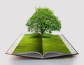 Book of nature isolated on white open book in paper recycling concept 3d rendering book of nature with grass and tree growth on it Royalty Free Stock Photo