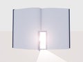 Book with open door Royalty Free Stock Photo