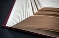 Book pages close up on a dark background. Royalty Free Stock Photo