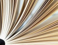 Book Pages Detail Royalty Free Stock Photo