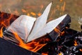 Book pages in flames. Burning old unnecessary books Royalty Free Stock Photo