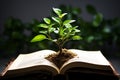 Book pages nurture a thriving green plant, a symbol of knowledge growth Royalty Free Stock Photo