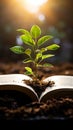 Book pages nurture a thriving green plant, a symbol of knowledge growth Royalty Free Stock Photo