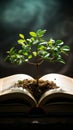 Book pages nurture a thriving green plant, a symbol of knowledge growth Royalty Free Stock Photo