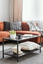 Book, pillow, plant and coffee mug on table in front of brown velvet sofa with pillows and blanket